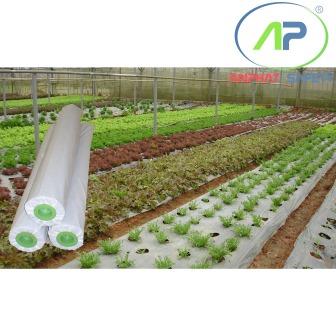 BN-PE0101