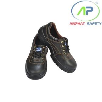 SHSM-P15-36