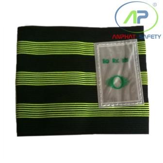 SPK0202